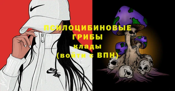 винт Касимов