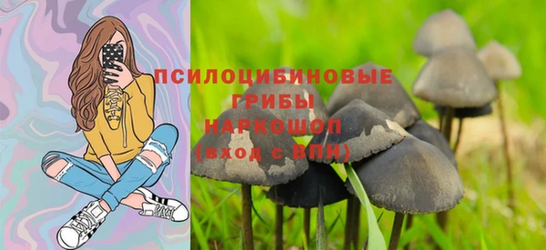 метадон Карпинск