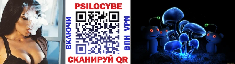 Галлюциногенные грибы Psilocybine cubensis  Купить закладки  Мурино 